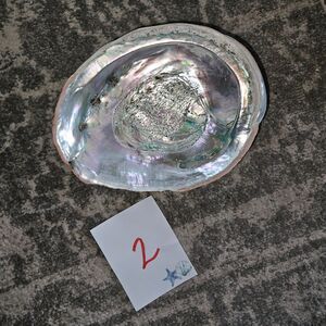 Large Abalone Shell Decor Bowl Luster Iridescent Shiny_2